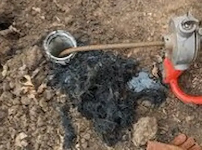 Tree roots removed from a main sewer line blockage