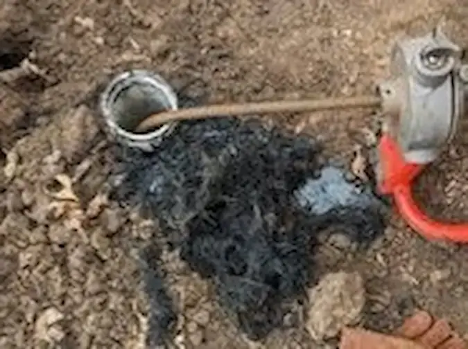 Tree roots removed from a main sewer line blockage
