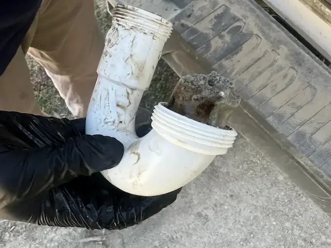 Grease, hair, soap residue and buildup removed from a fixture drain