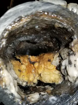 Grease clog in sewer pipe Wichita